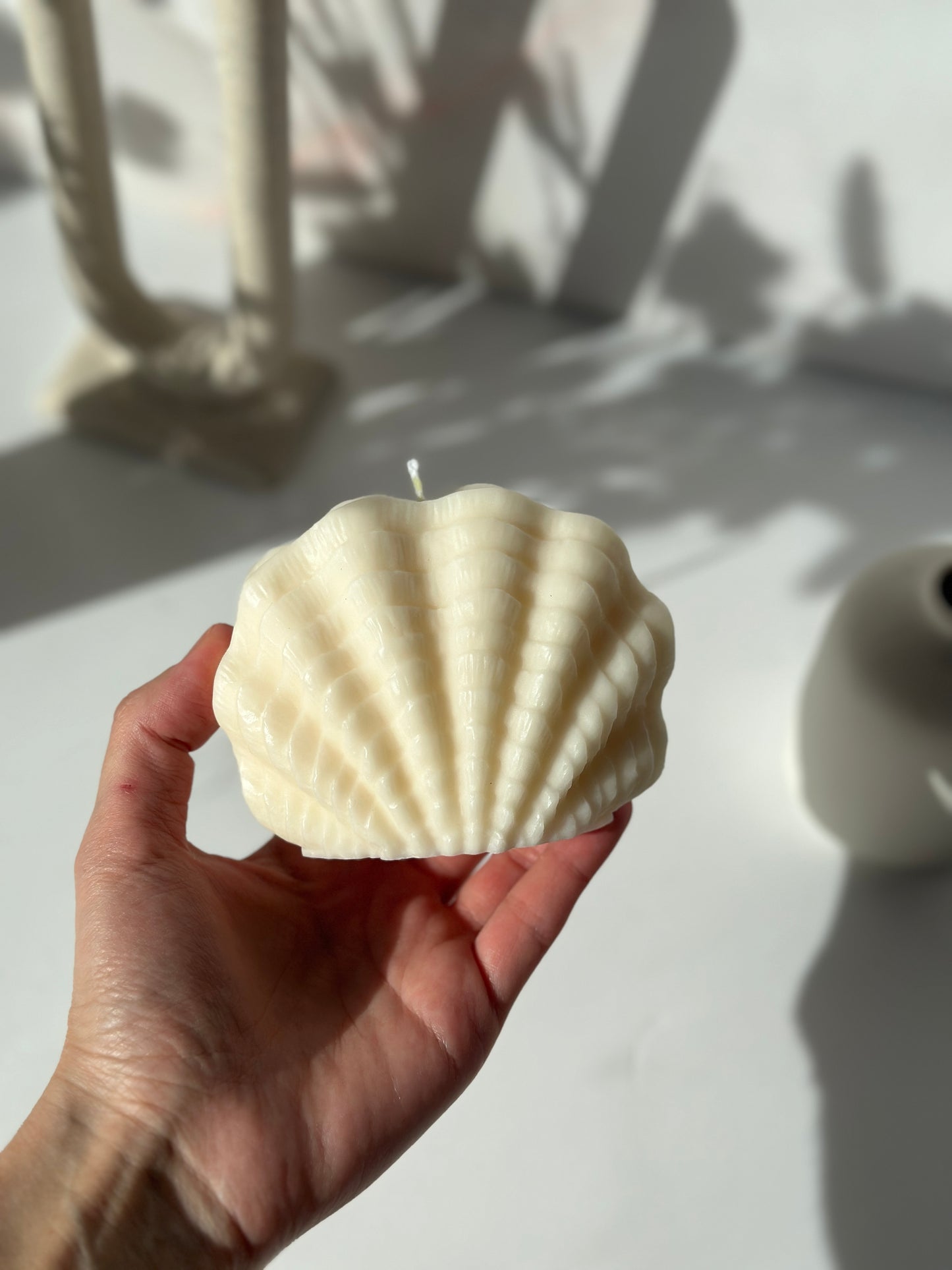 Sea Shell